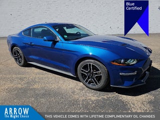 2023 Ford Mustang EcoBoost