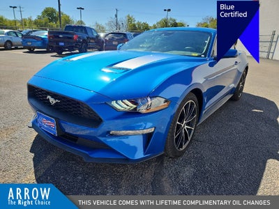 2021 Ford Mustang EcoBoost