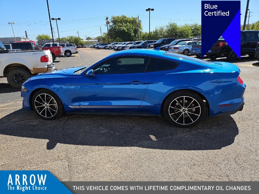 2021 Ford Mustang EcoBoost