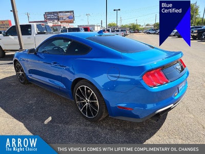 2021 Ford Mustang EcoBoost