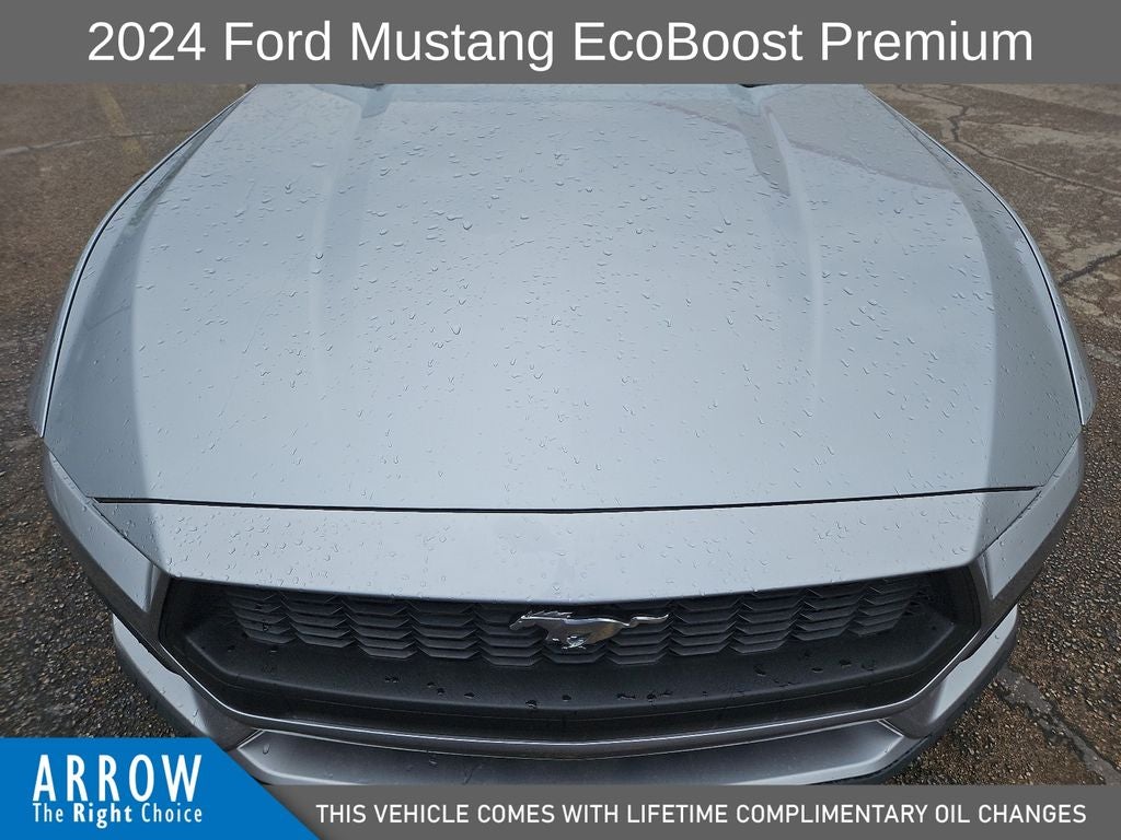 2024 Ford Mustang EcoBoost Premium