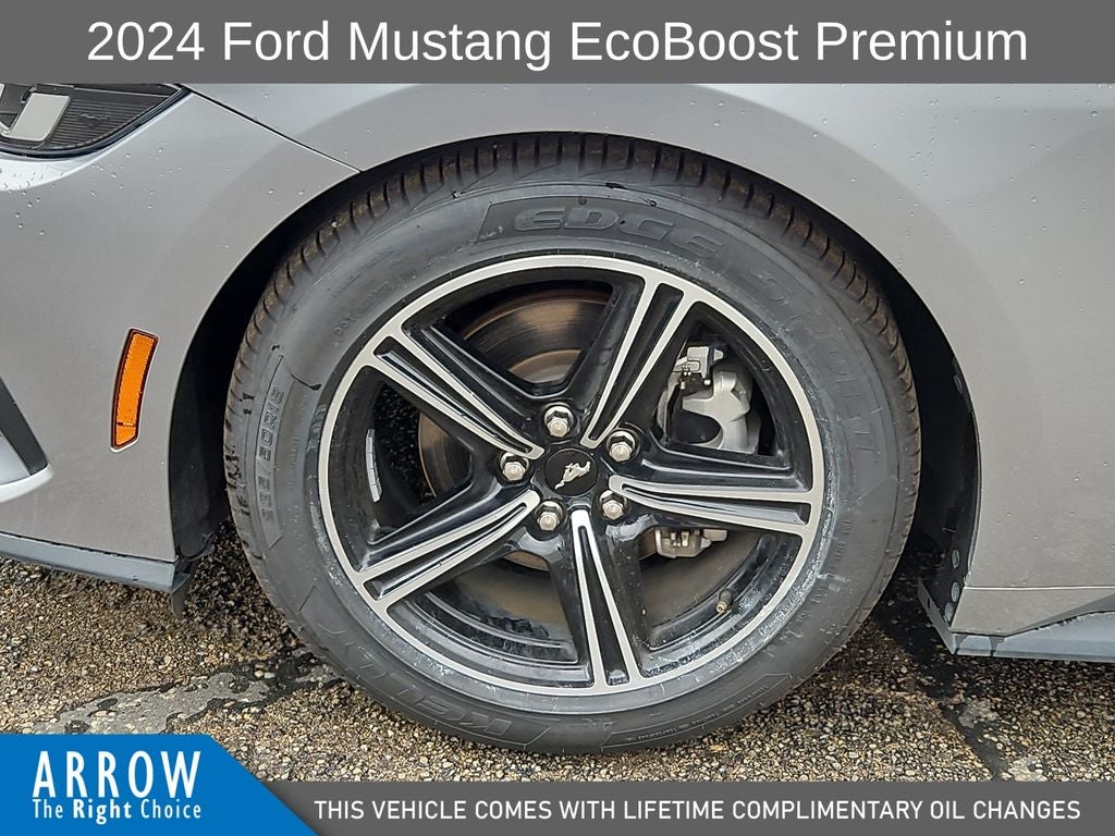 2024 Ford Mustang EcoBoost Premium