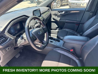 2025 Ford Escape ST-Line