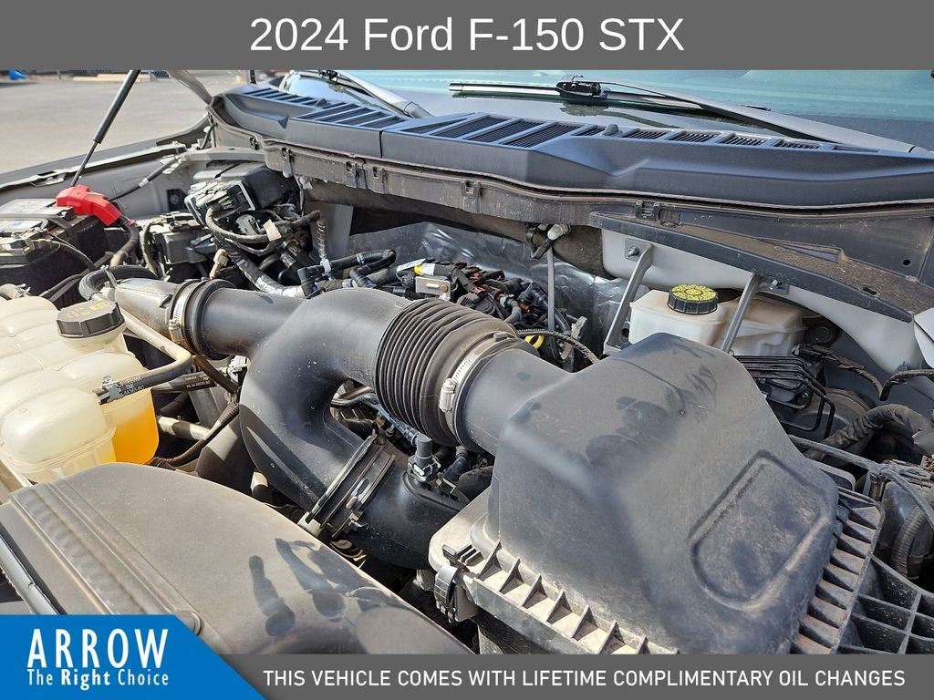 2024 Ford F-150 STX