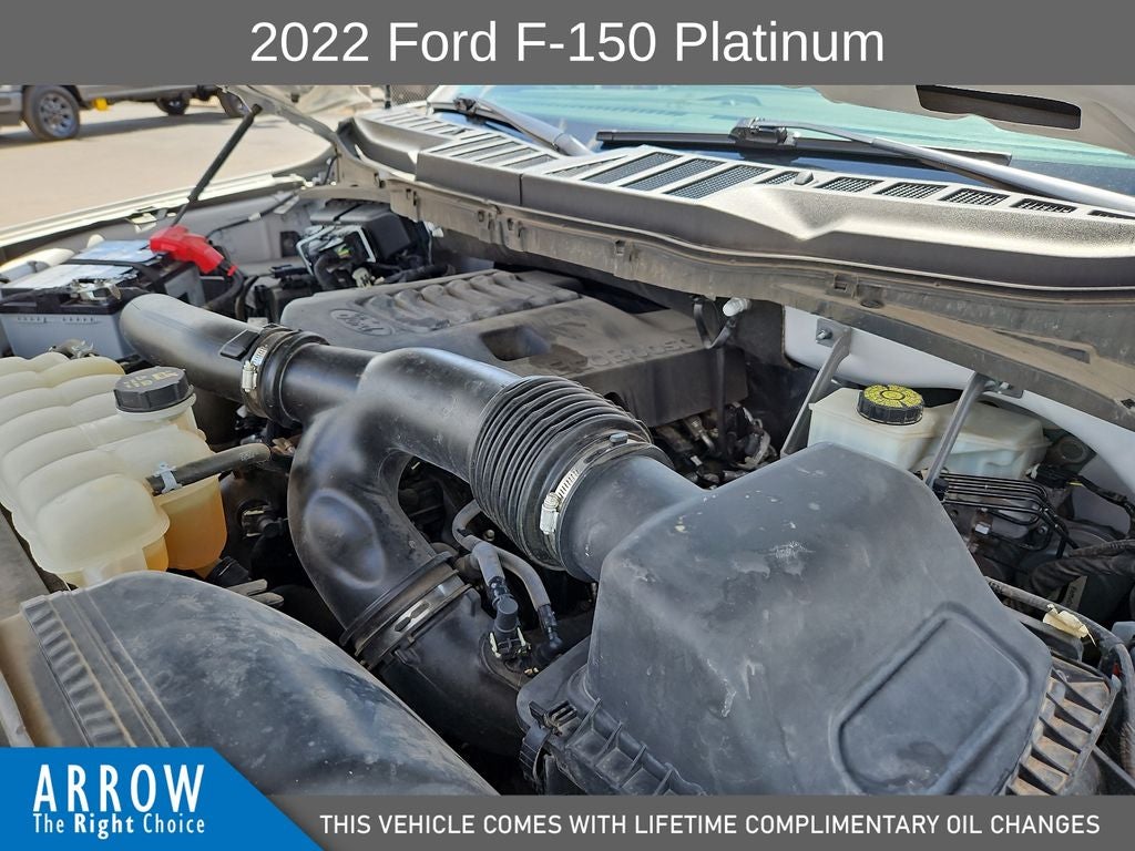 2022 Ford F-150 Platinum