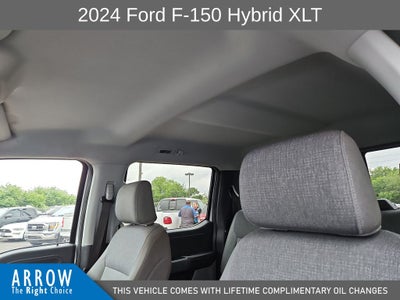 2024 Ford F-150 XLT