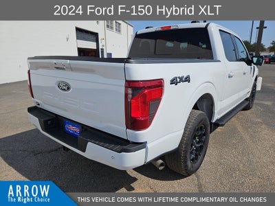2024 Ford F-150 XLT