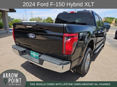 2024 Ford F-150 XLT