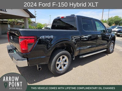 2024 Ford F-150 XLT