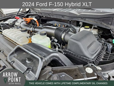 2024 Ford F-150 XLT