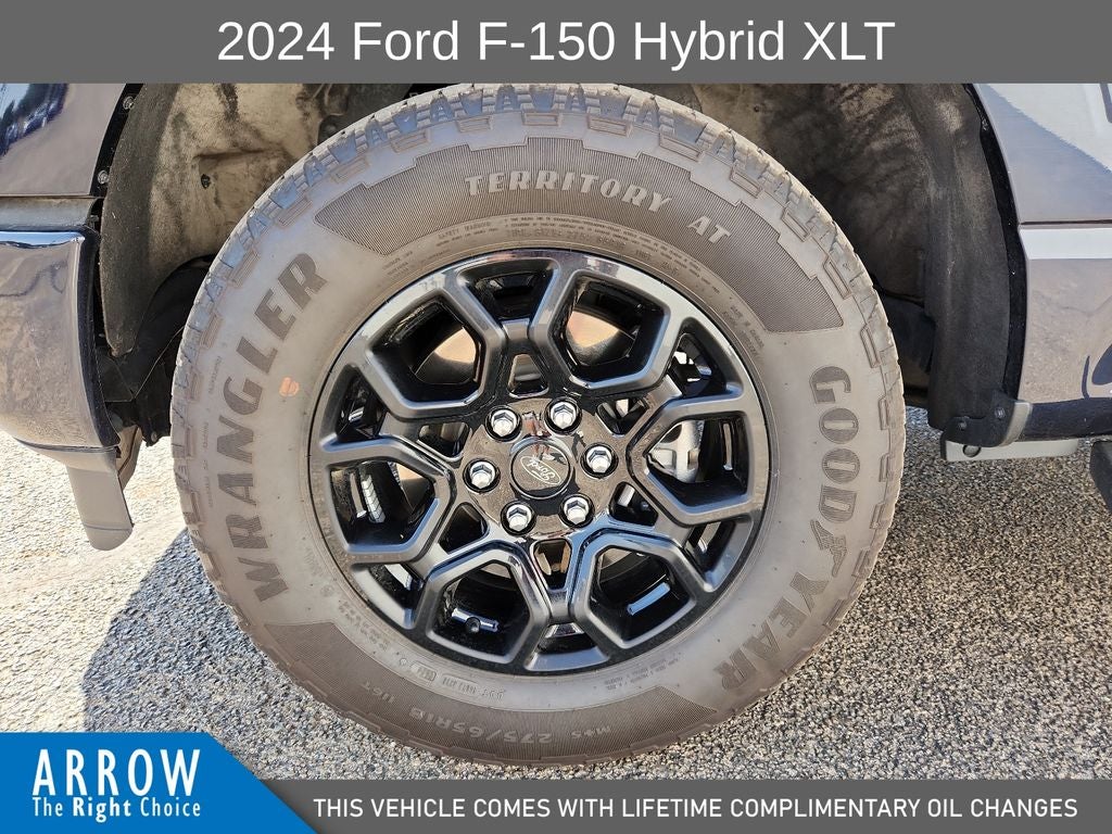2024 Ford F-150 XLT