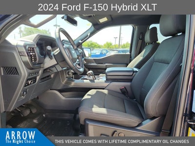 2024 Ford F-150 XLT
