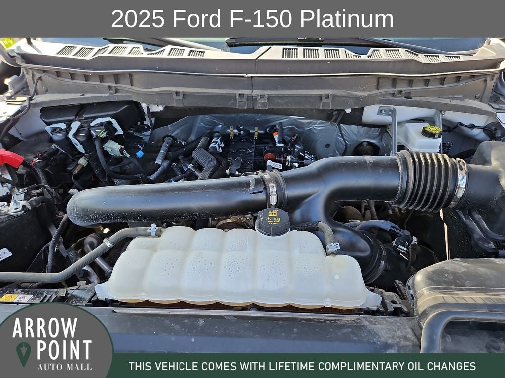 2025 Ford F-150 Platinum