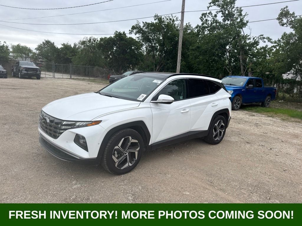 2024 Hyundai Tucson Limited